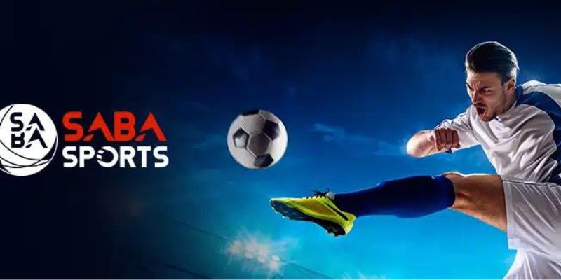 Lưu ý trong quá trình cá cược Saba Sports tại New88